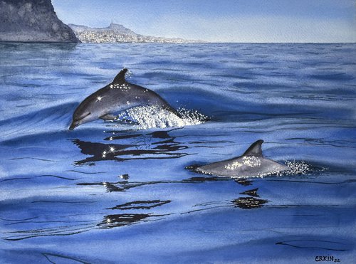 Dolphins. by Erkin Yılmaz