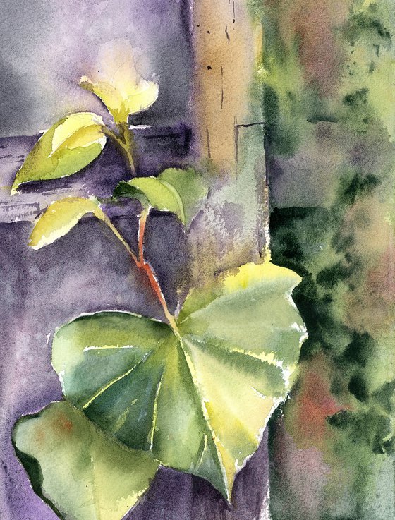Leaf on the Fence