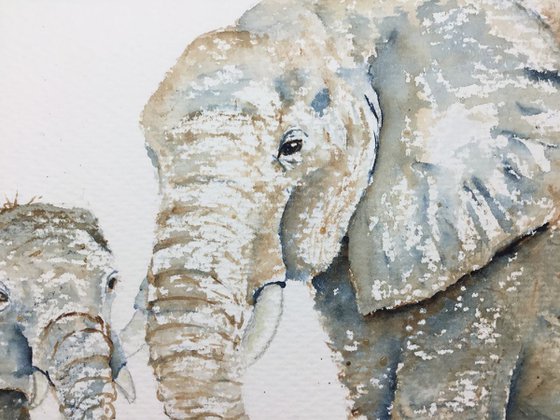 Elephants #3