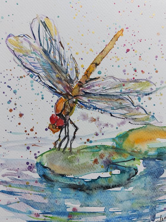 Dragonfly in the pond