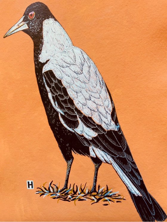 Magpie