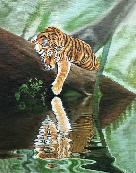 Original oil painting "Tiger" -  50x40 cm (2022)