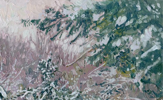 Snow-covered pine trees in Kuzminki Park