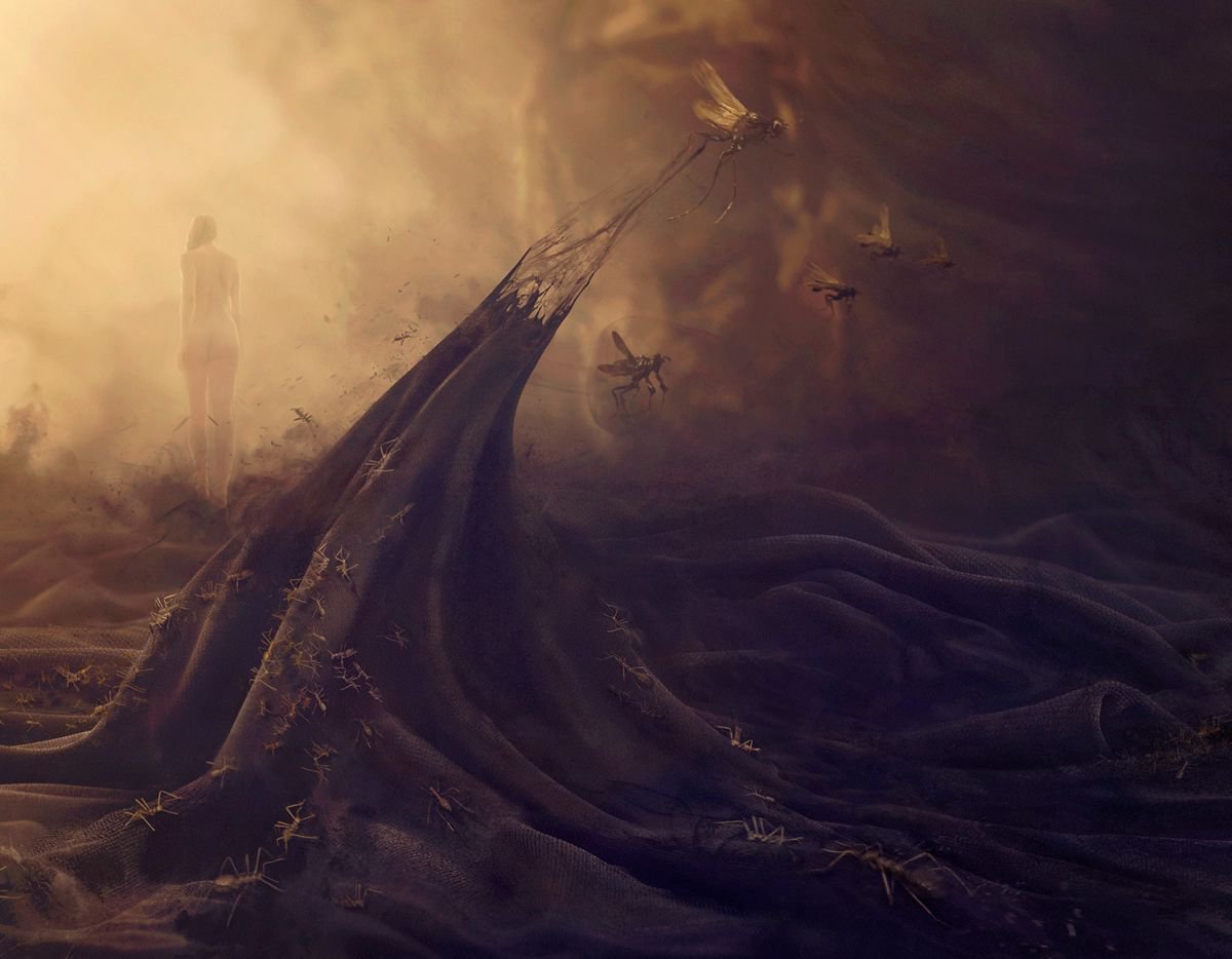 Surrealistic Abstract Giclee Print By Nikolina Petolas, 27 X 22", Metamorphosis, Original Artwork