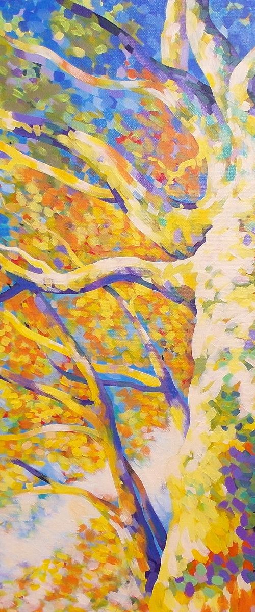 Tree in Autumn by Marc Todd