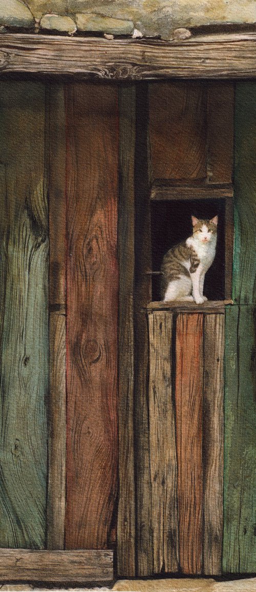 Village wood door with a cat by REME Jr.