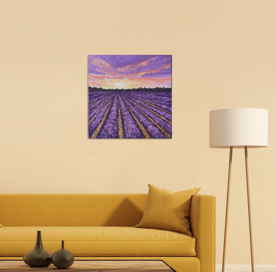 Lavender Sunrise