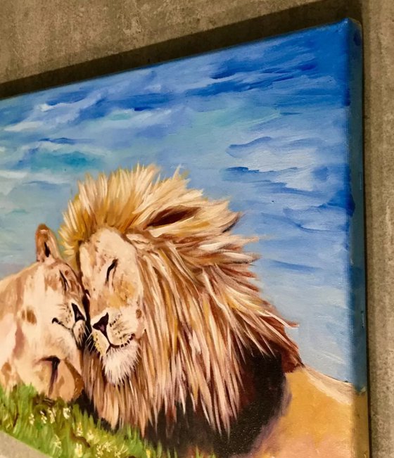 Lions . My honey