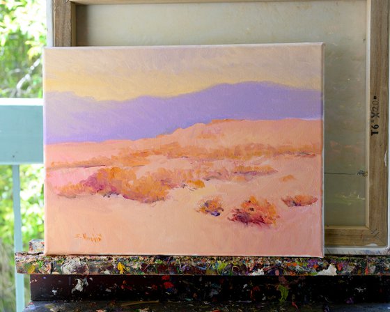 Soft Evening Light
