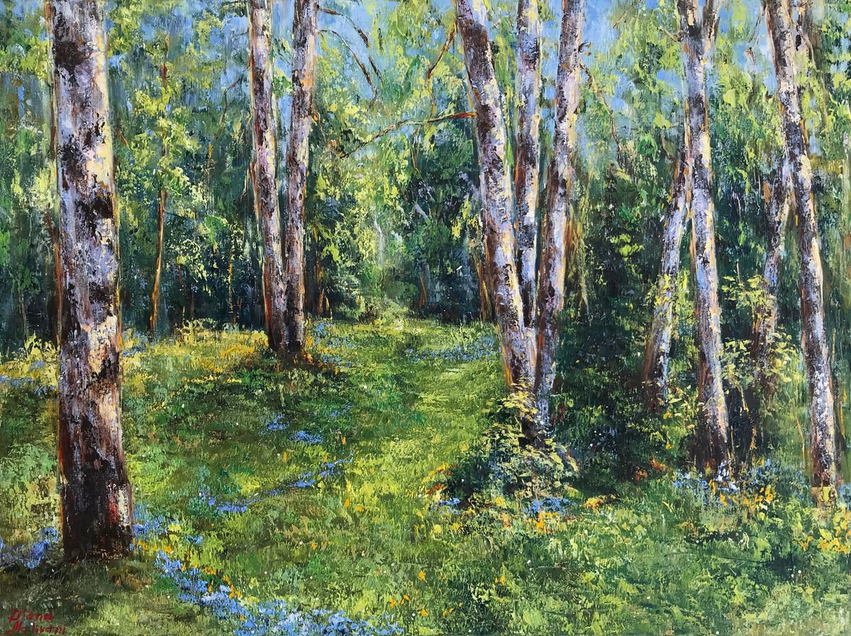 Birch Trees in the Sunshine by Diana Malivani