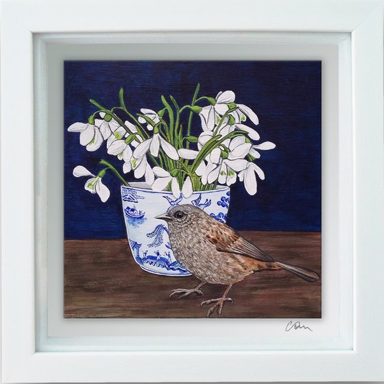 A Dunnock named Snowdrop