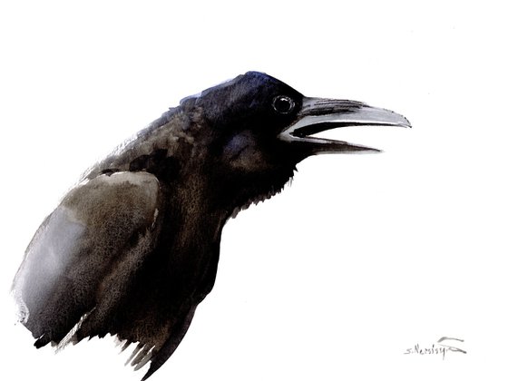 Raven Portrait