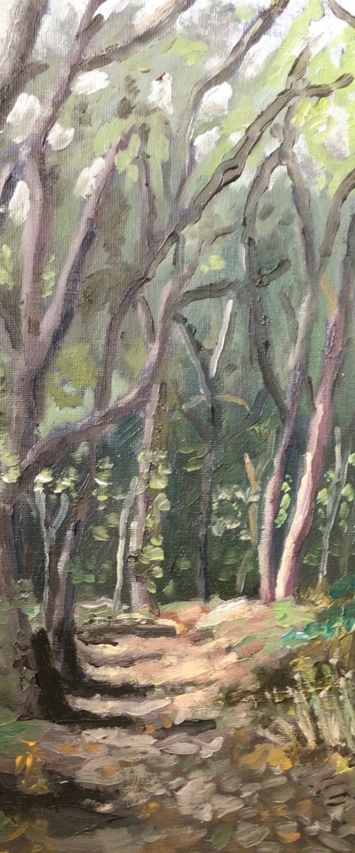 Woodlands walk, An original oil painting. by Julian Lovegrove Art