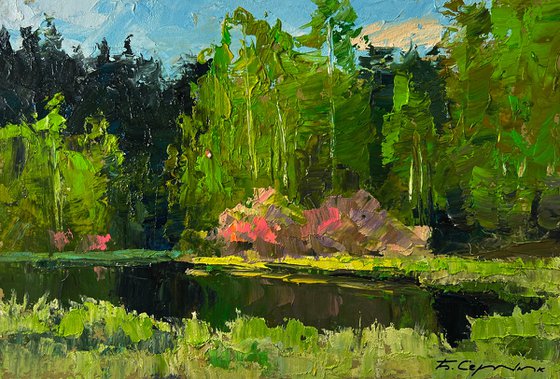 Spring Lake in the Forest