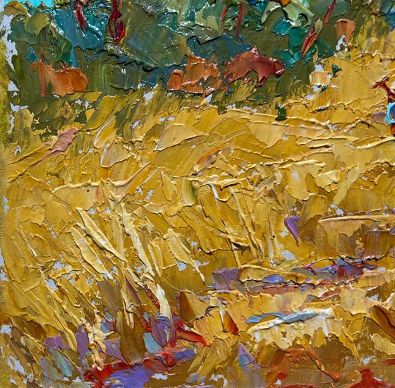 Sunny day in the field