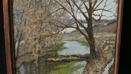 The Old Willow