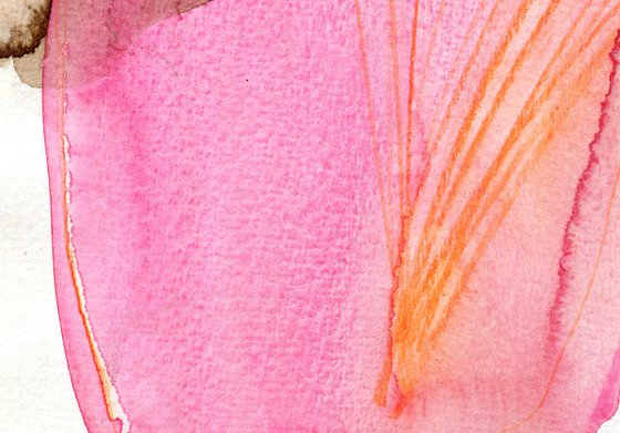 Pink Desert