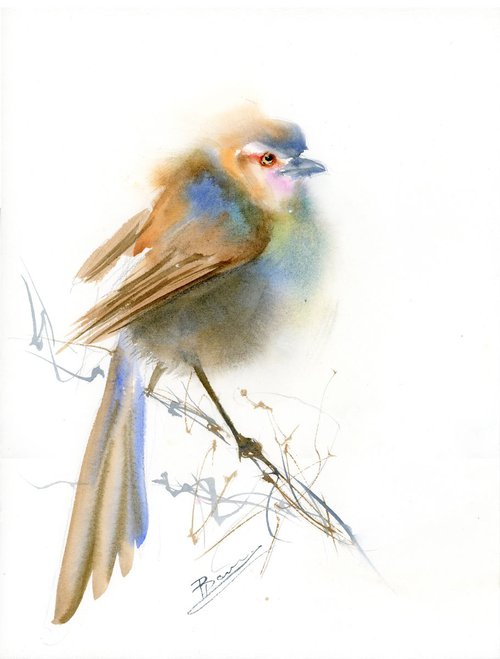Nightingale on a branch by Olga Shefranov (Tchefranov)