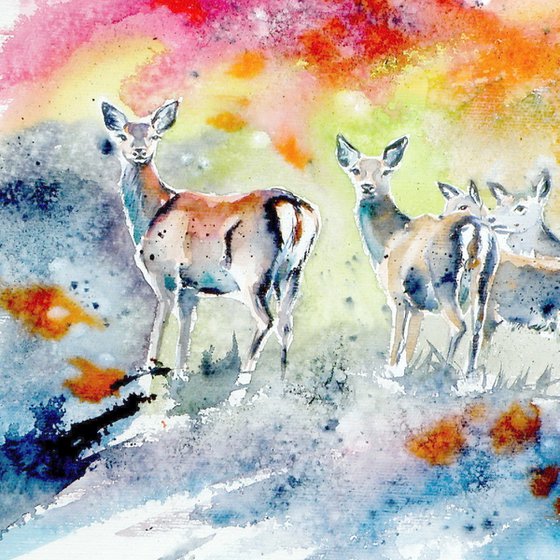 Deer on the field