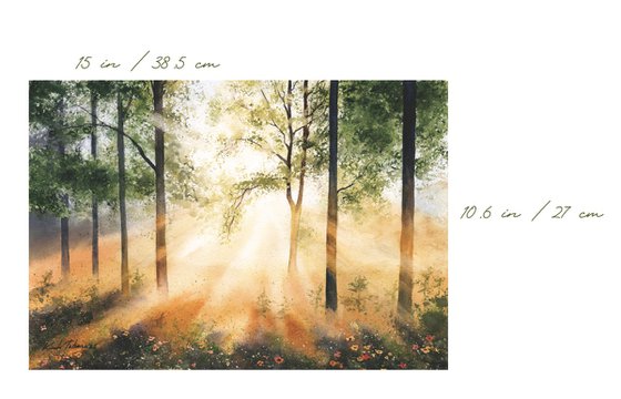 Morning Light in the Forest