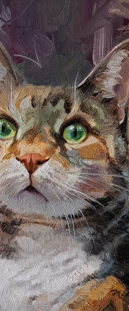 Custom cat portrait by Nataly Derevyanko