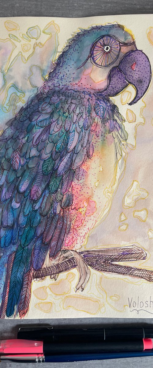 Bright parrot by Mary Voloshyna