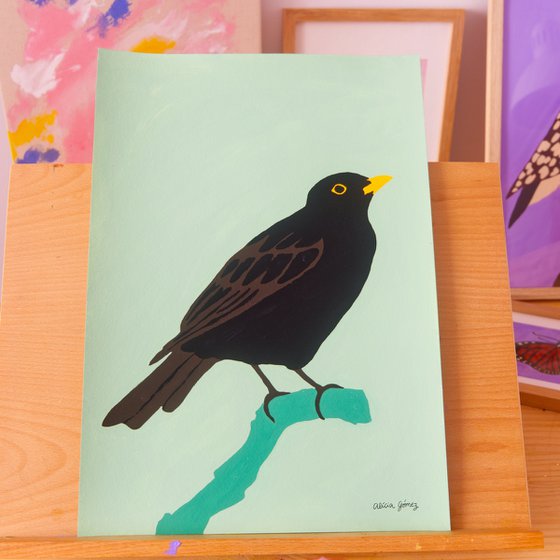 Black bird