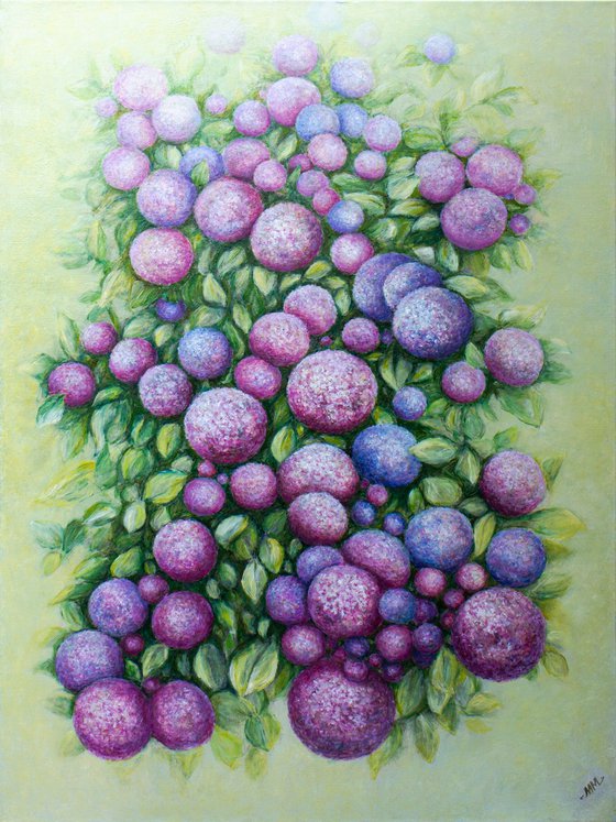 The Hydrangea Galaxy