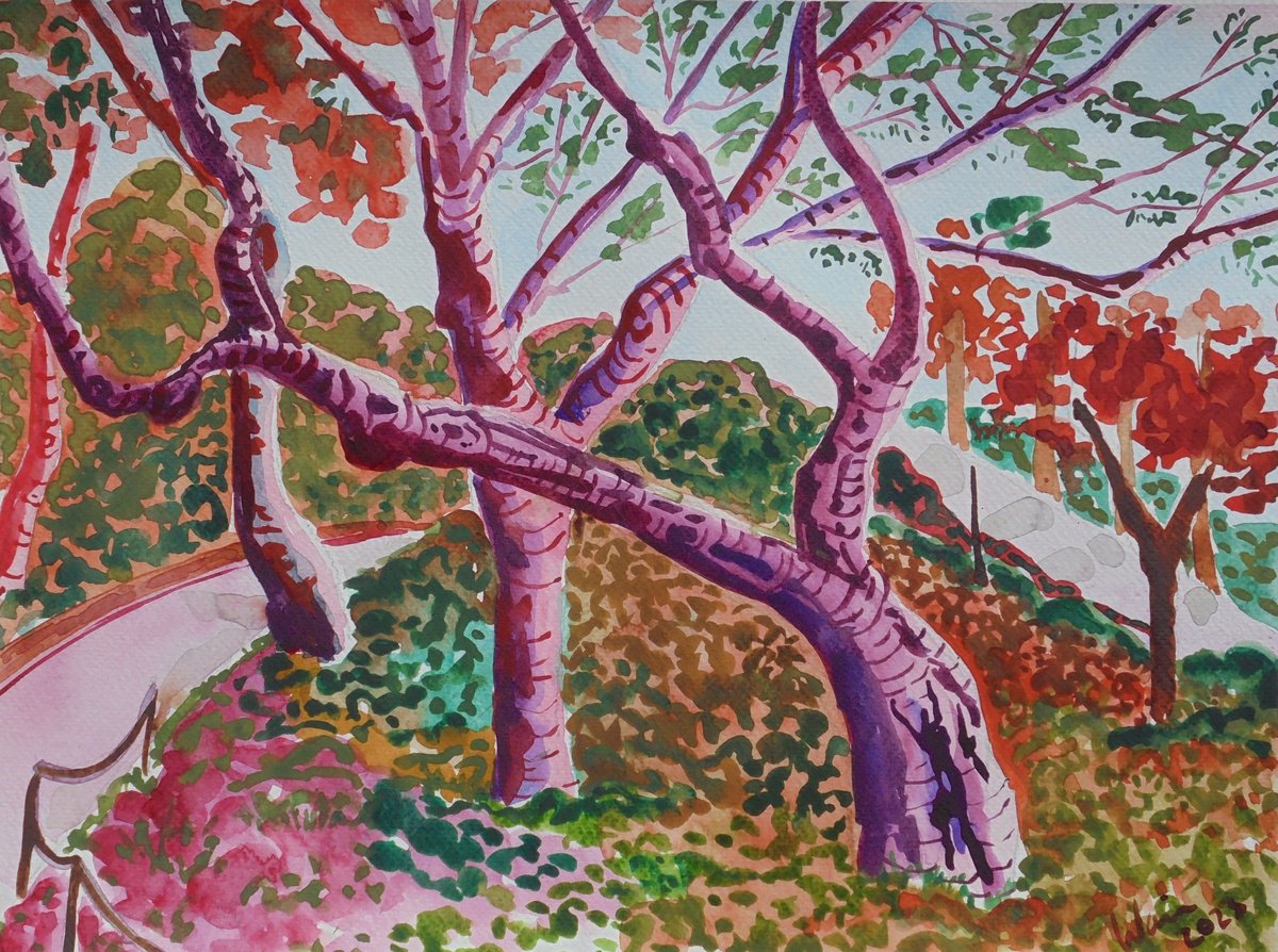 Woodland at Park Guell by Kirsty Wain