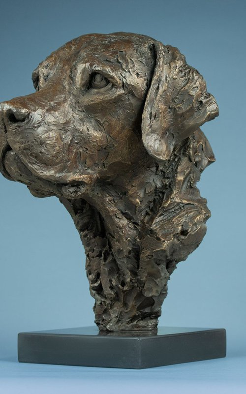 Labrador Portrait 3 BR by Tanya Russell
