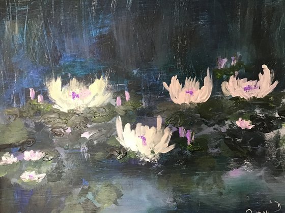 Waterlilies in the mist