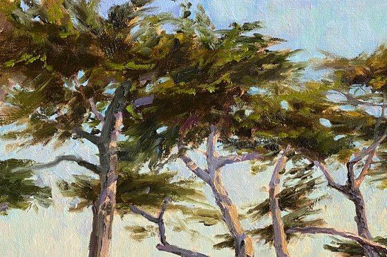 Coastal Cypress Swing Landscape