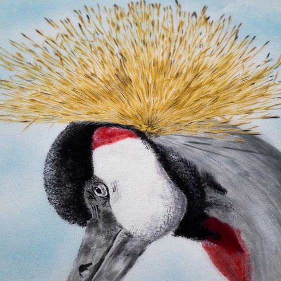 Crowned Crane