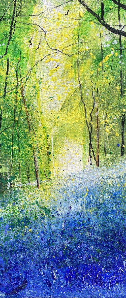 Spring day, Bluebell Wood by Teresa Tanner