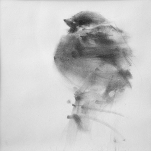 sparrow No 18 by Tianyin Wang