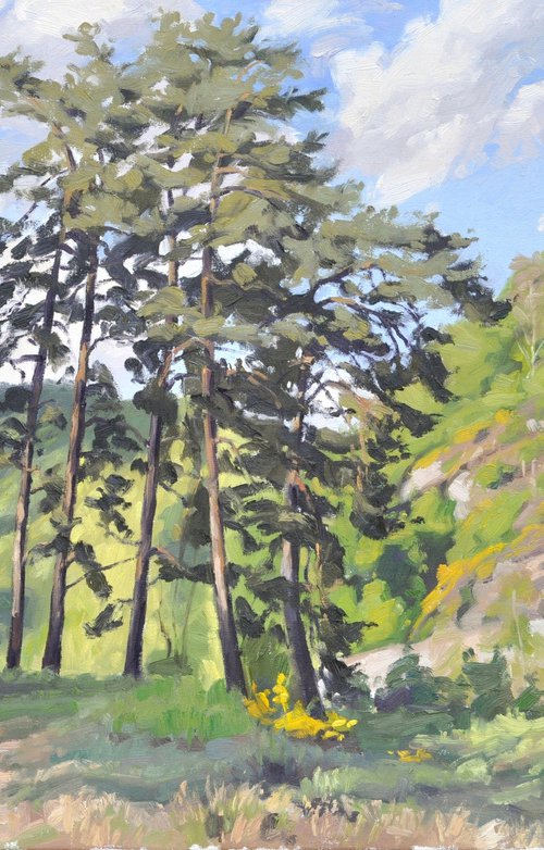 May 11, path in gorges of the Loire by ANNE BAUDEQUIN