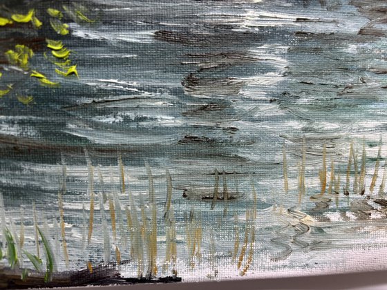Birch trees on the lake