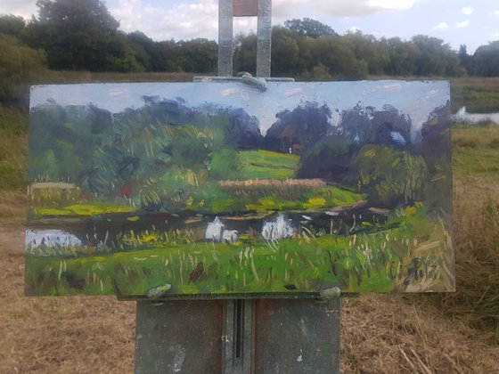 River near Coldwaltham.