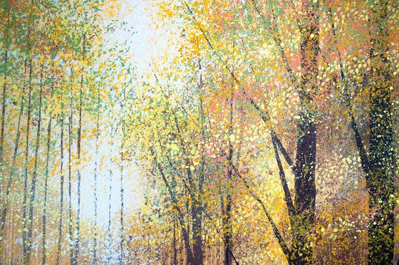 Autumn Forest Trees 2