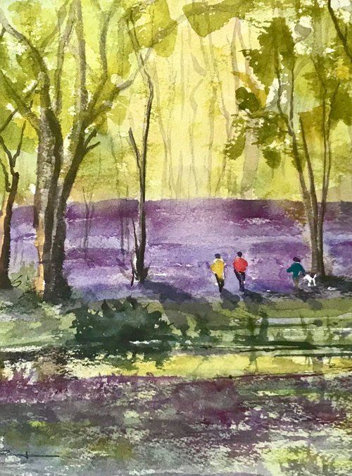 Bluebells at Arlington Woods by Brian Tucker