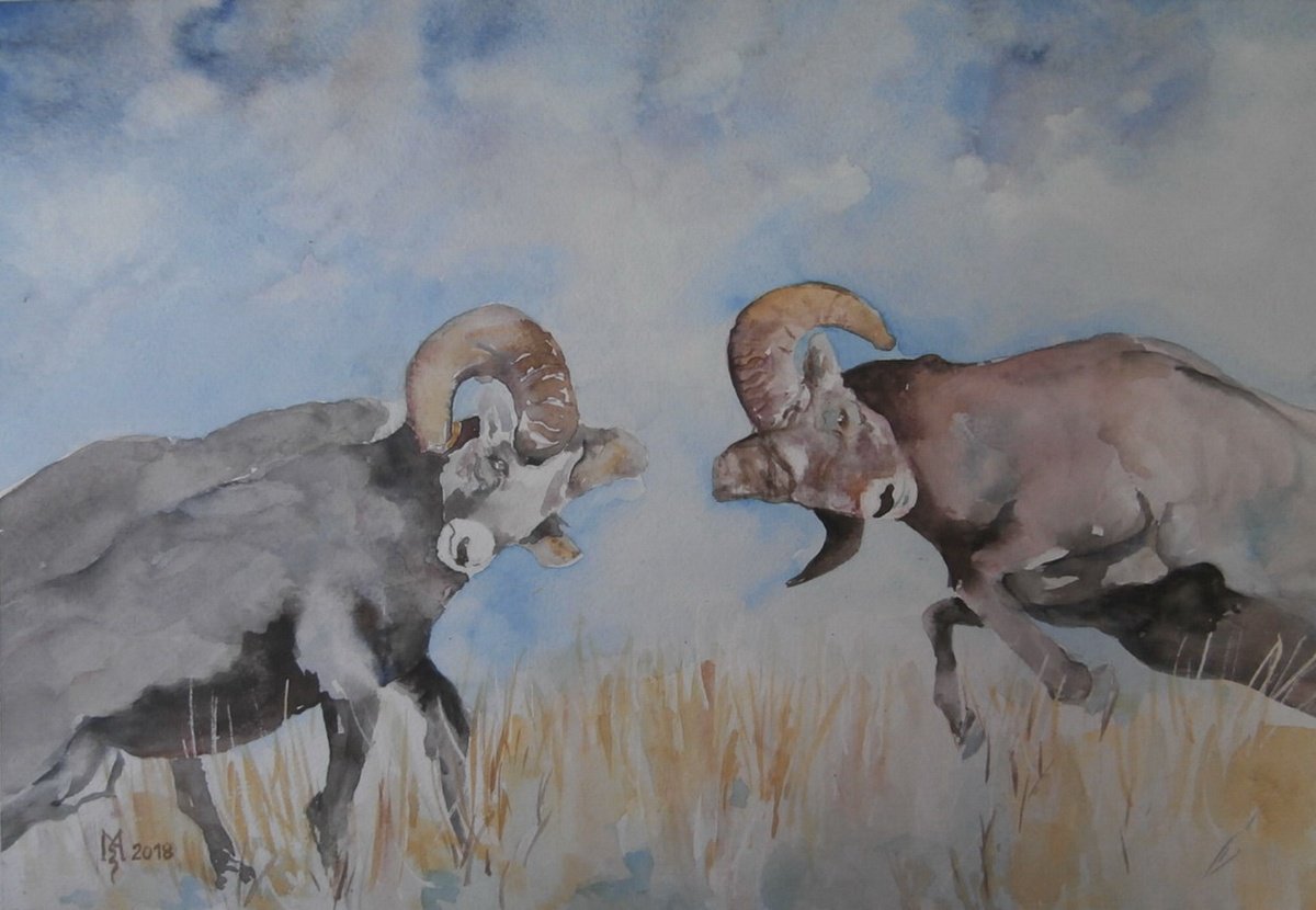 Impressionistic Animal Watercolour By Zoran Mihajlovic Muza, 16 X 11", Batle Of The Goats, Original Artwork