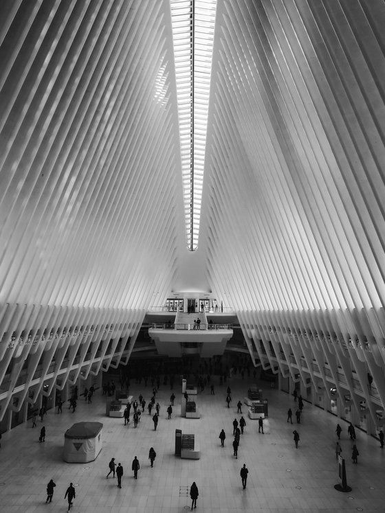DAILY IN NEW YORK