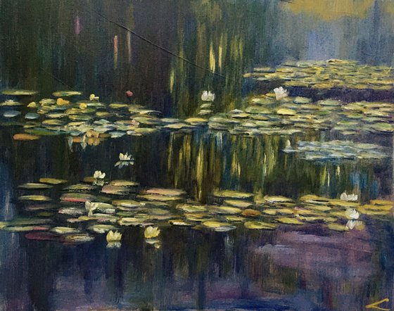 Waterlilies