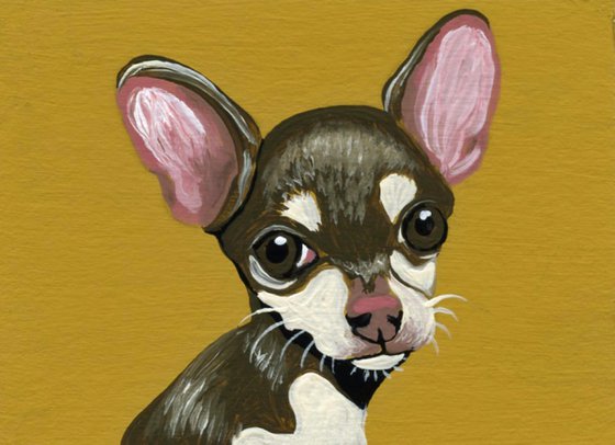 ACEO ATC Original Miniature Painting Chihuahua Pet Dog Art-Carla Smale