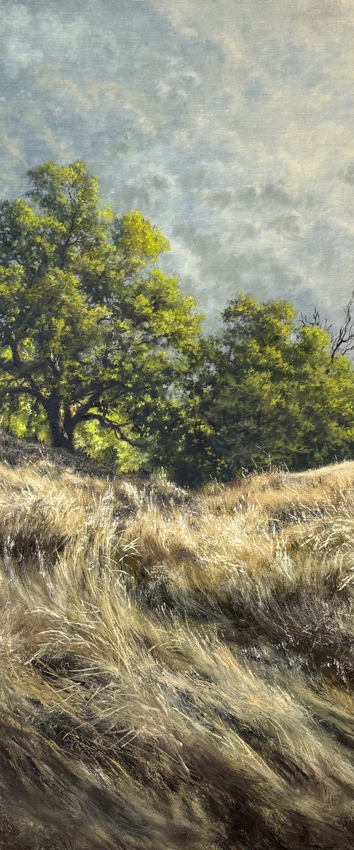 Alpin meadow by Igor Dubovoy