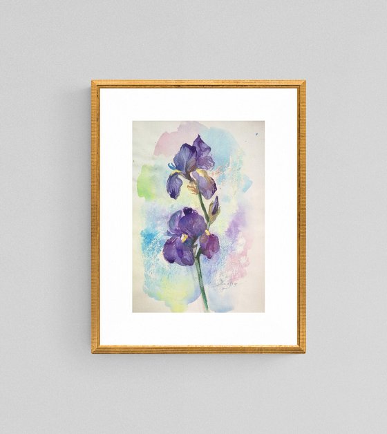 Iris Watercolor