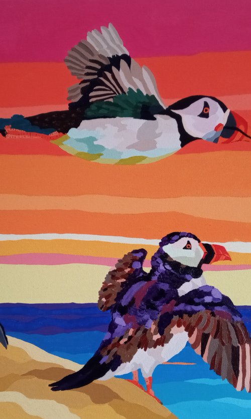 Circus of Puffins by Corinne Hamer