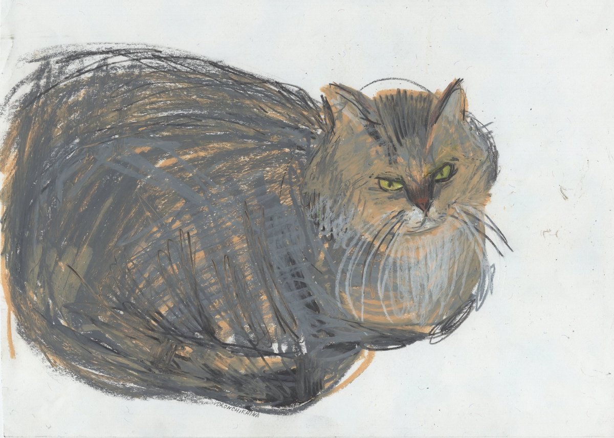 Cat`s portrait by Natasha Voronchikhina