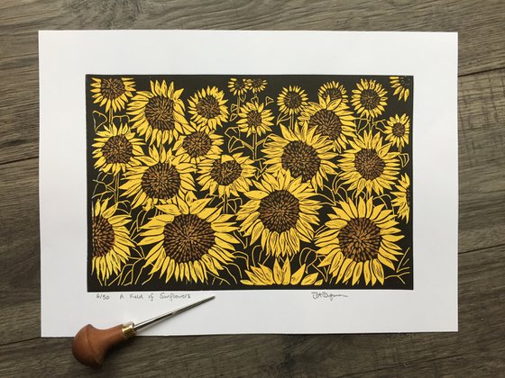 A Field of Sunflowers 6/50