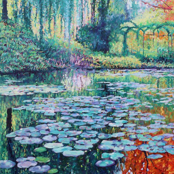 Lily Pond Reflections